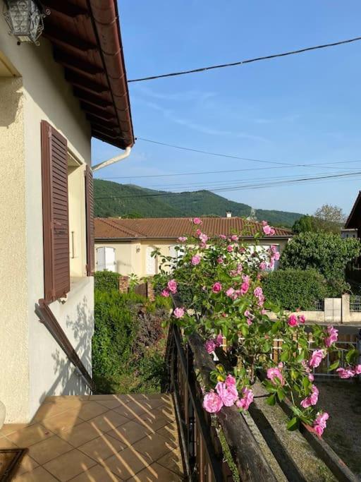 La Terrasse Du Fourcat Apartment Saint-Paul-de-Jarrat Ngoại thất bức ảnh
