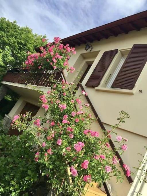La Terrasse Du Fourcat Apartment Saint-Paul-de-Jarrat Ngoại thất bức ảnh